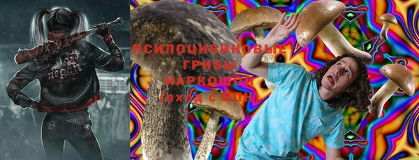 шишки Бугульма