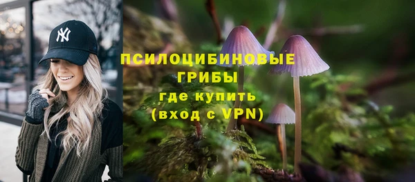 PSILOCYBIN Богородицк